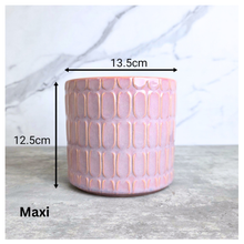 Load image into Gallery viewer, Arabella Pink textured ceramic planter with 'Leaferie' flowerpot
