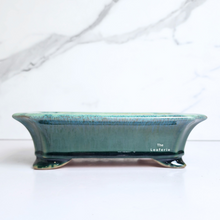 Load image into Gallery viewer, The Leaferie Bonsai Tally Series 7. green rectangular pot.

