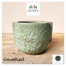 Load image into Gallery viewer, Gwenhael Flowerpot
