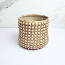 Load image into Gallery viewer, The Leaferie Bronwyn studded beige flowerpot. ceramic material
