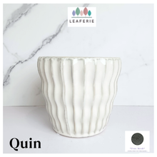 Load image into Gallery viewer, Quin Flowerpot
