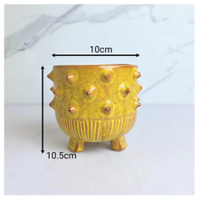 Load image into Gallery viewer, The Leaferie Nico yellow ceramic flowerpot
