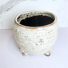 Load image into Gallery viewer, The Leaferie Arnold ceramic pot with legs
