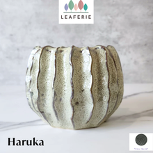 Load image into Gallery viewer, Haruka Flowerpot
