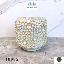 Load image into Gallery viewer, Olivia Iridescent Flowerpot (3 sizes)
