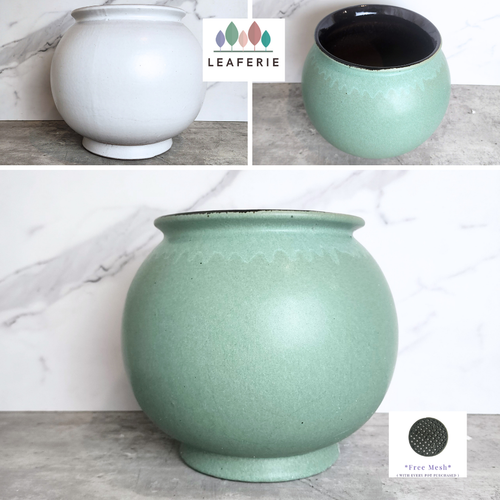The Leaferie Aalto round green and white ceramic flowerpot. 