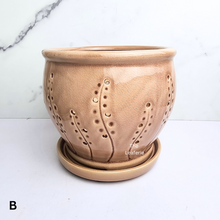 Load image into Gallery viewer, The Leaferie Liane orchid pot with holes and matching tray. ceramic material
