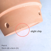 Load image into Gallery viewer, As-Is Dec 2025 Collage of various ceramic pots and planters with Leaferie logo.
