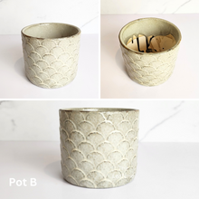 Load image into Gallery viewer, The Leaferie Mini Pots (Series 10). 9 designs.Design B
