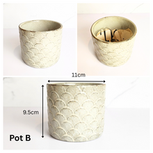 Load image into Gallery viewer, Mini Flowerpots (Series 10) 10cm
