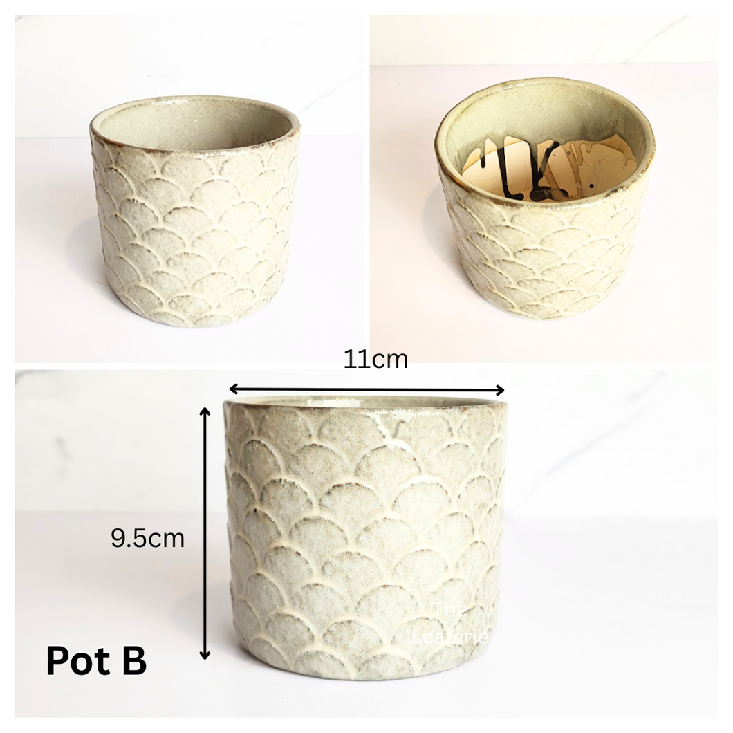 Mini Flowerpots (Series 10) 10cm