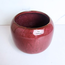 Load image into Gallery viewer, The Leaferie Ellis red ceramic flowerpot.
