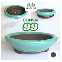 Load image into Gallery viewer, The Leaferie Bonsai 99. round green ceramic pot
