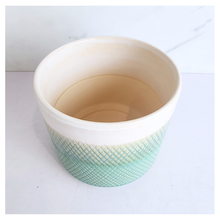 Load image into Gallery viewer, Mistra Teal textured  in a pot with &#39;LEAFAERIE&#39; branding on a white background

