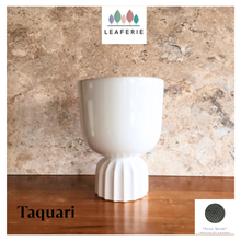 Load image into Gallery viewer, Taquari Flowerpot
