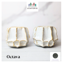 Load image into Gallery viewer, Octava Flowerpot
