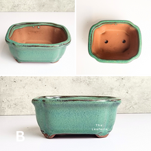 Load image into Gallery viewer, The Leaferie Petit bonsai series 2. 4 colours . ceramic pot. front view of design B
