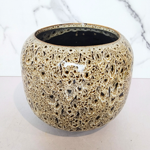 Load image into Gallery viewer, The Leaferie Brooke flowerpot. ceramic material . black and beige colour
