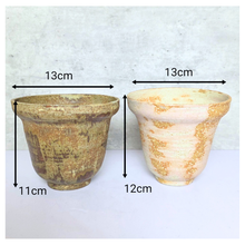 Load image into Gallery viewer, Elara Two ceramic pots with 'Elara' branding on a light background
