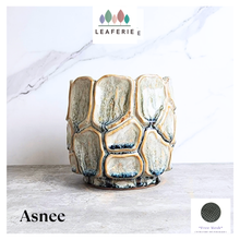 Load image into Gallery viewer, Asnee Flowerpot

