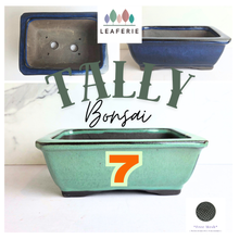 Load image into Gallery viewer, Tally 7 Green rectangular pot with measurements on a white 
