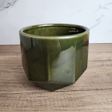 Load image into Gallery viewer, The Leaferie Sarah green flowerpot. ceramic material
