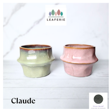 Load image into Gallery viewer, Claude Flowerpot
