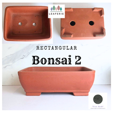 Load image into Gallery viewer, Bonsai Rectangular (Series 2)
