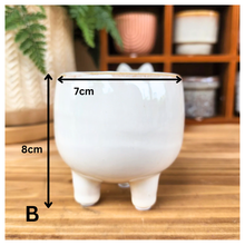 Load image into Gallery viewer, Petit Flowerpots (Series 5)
