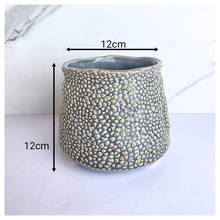 Load image into Gallery viewer, Textured ceramic pot labeled &#39;Nubo&#39; with LEAFERIE branding on a light 
