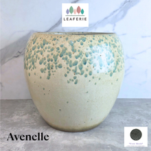 Load image into Gallery viewer, Avenelle Big Flowerpot

