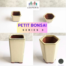 Load image into Gallery viewer, Petit Bonsai Flowerpot (Series 3) Beige Theme
