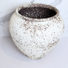 Load image into Gallery viewer, The Leaferie Asteria Big flowerpot. white with brown specks ceramic pot
