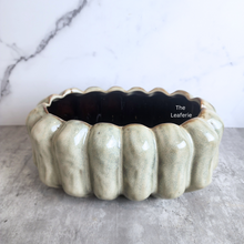 Load image into Gallery viewer, The Leaferie Sable shallow pot. ceramic material
