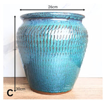 Load image into Gallery viewer, Aures Big Tall Flowerpot (Series 1)
