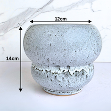 Load image into Gallery viewer, Cedric Flowerpot
