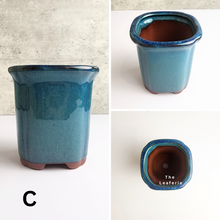 Load image into Gallery viewer, The Leaferie Bonsai Series 26. blue theme. 4 designs ceramic pot. photo of designs C
