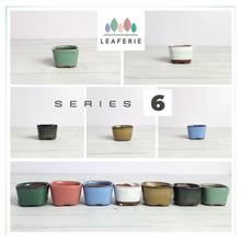 Load image into Gallery viewer, Petit Bonsai Flowerpot (Series 6)
