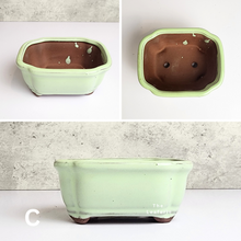 Load image into Gallery viewer, The Leaferie Petit bonsai series 2. 4 colours . ceramic pot. front view of design C
