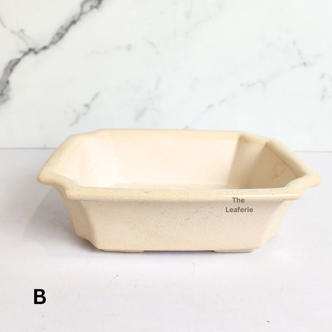 The Leaferie Bonsai Tally Series 11. 3 colours (Green, white and light blue ceramic material) 