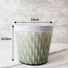 Load image into Gallery viewer, Emilia Flowerpot
