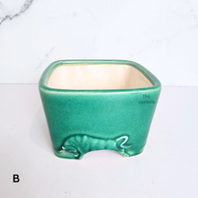 Load image into Gallery viewer, The Leaferie Bonsai Series 62 Square  pot with bull design . green and white colour design
