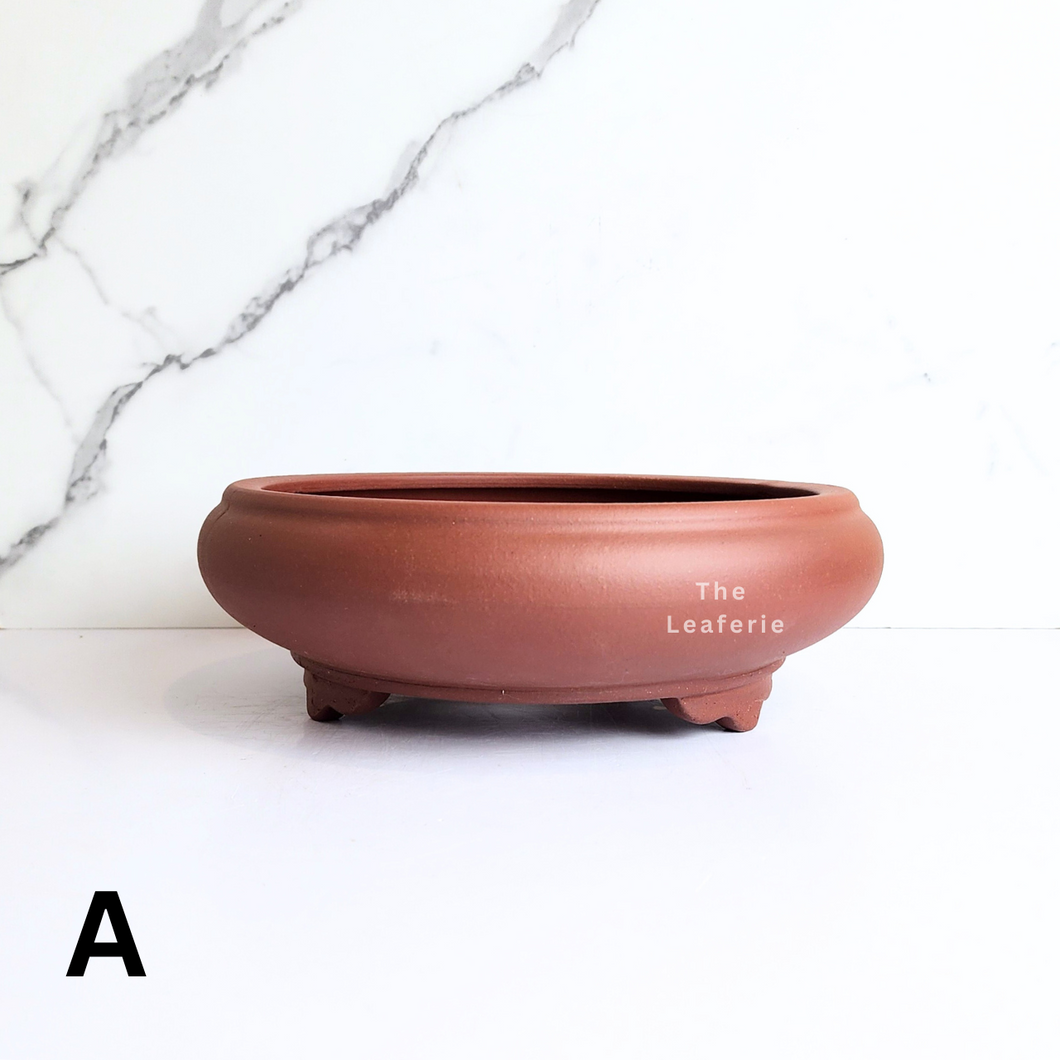 Bonsai Flowerpot (Series 49)