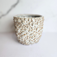 Load image into Gallery viewer, The Leaferie Gatsby Flowerpot. ceramic rock like pot
