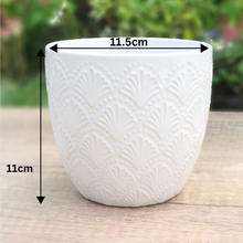 Load image into Gallery viewer, Lolia Flowerpot
