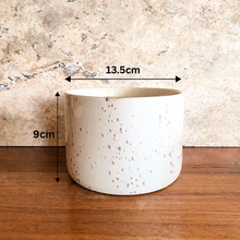 Load image into Gallery viewer, Colby Shallow flowerpot
