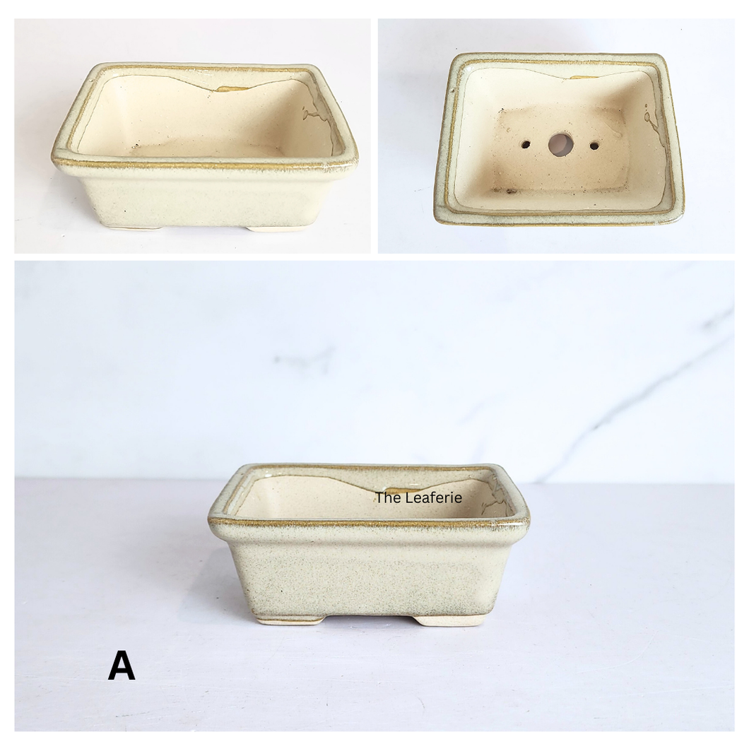 The Leaferie Bonsai 82 . rectangular bonsai pot. 4 colours. 