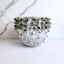 Load image into Gallery viewer, The Leaferie Handmade Luna pot. ceramic material
