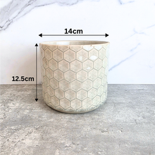 Load image into Gallery viewer, Diamante Flowerpot
