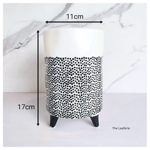 Load image into Gallery viewer, The Leaferie dottie black polka dot ceramic tall flowerpot.
